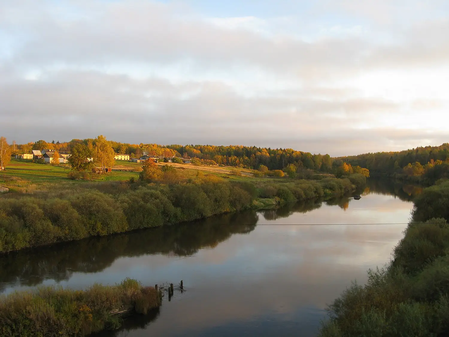 Velikaya in Selikhnovo