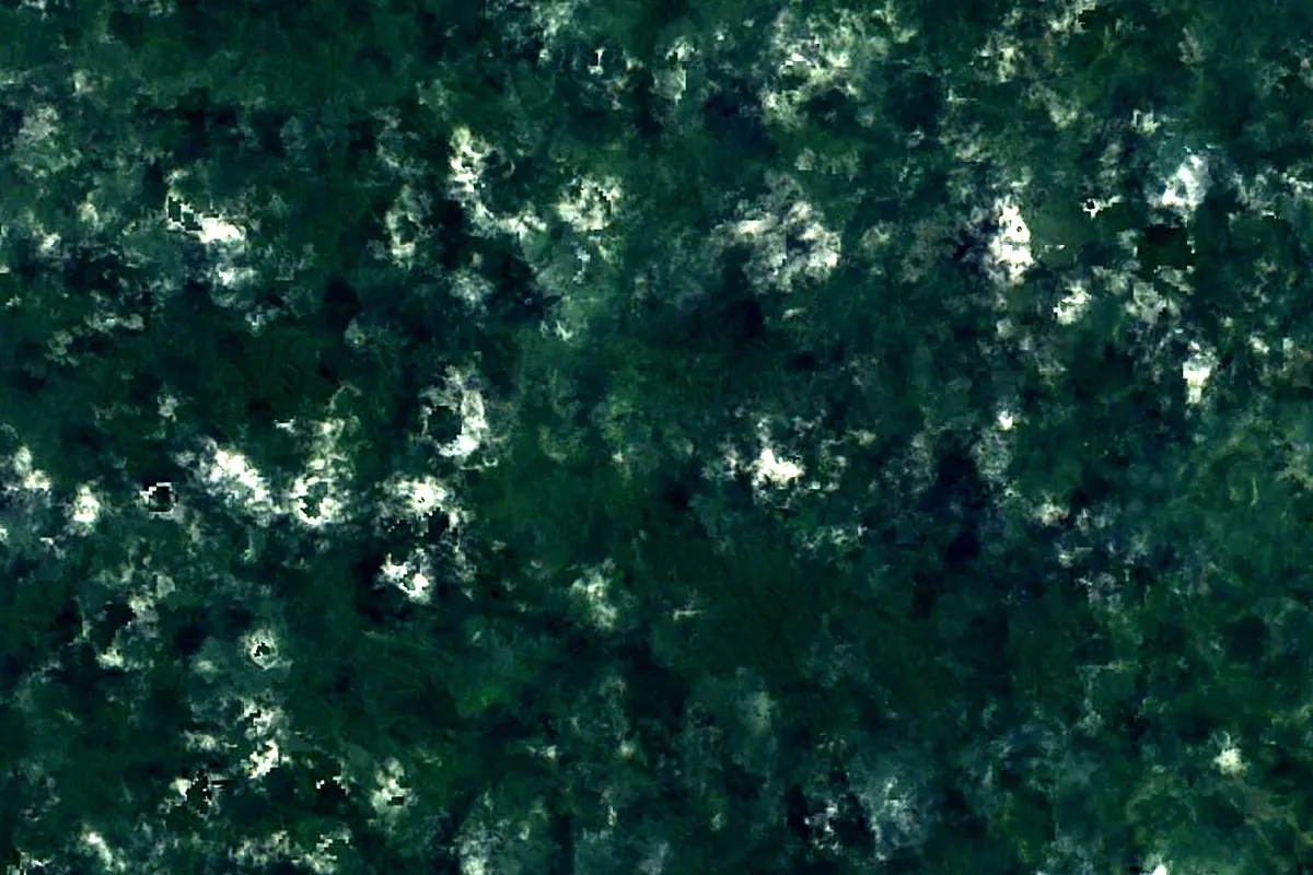 Ventuari River: satellite view of the source