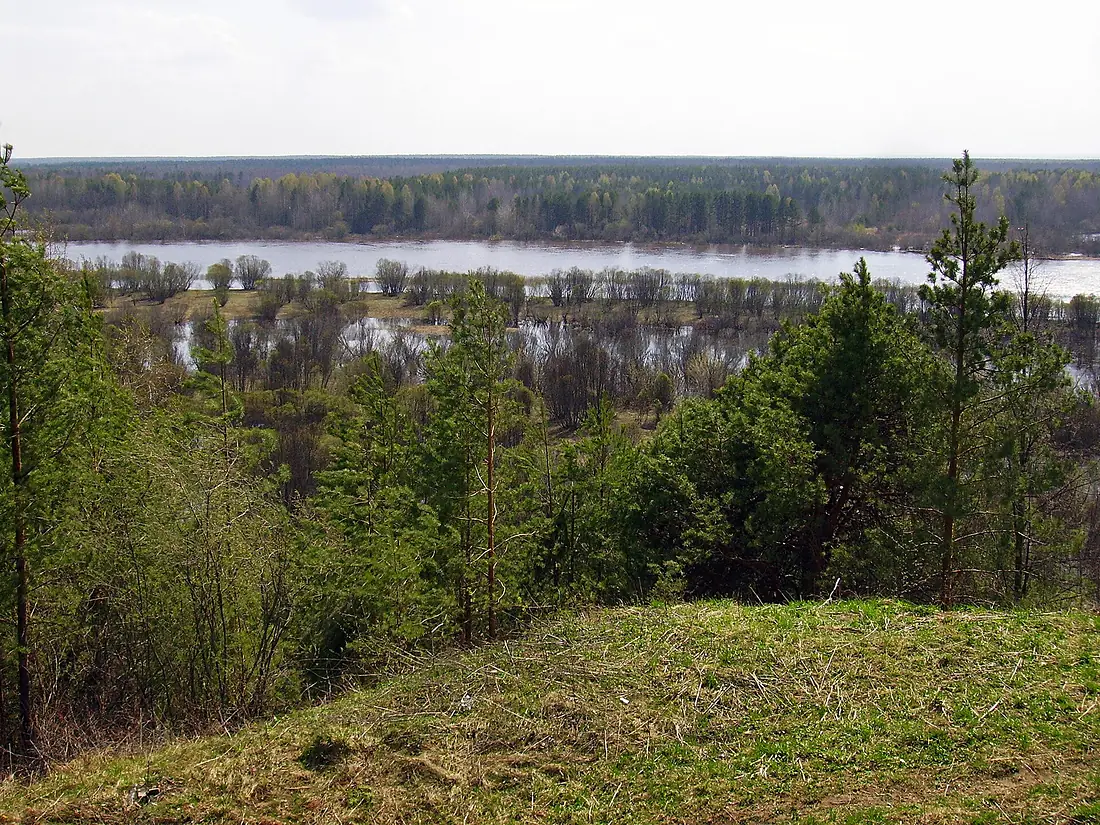 Varnavino. Endless Woods behind Vetluga River