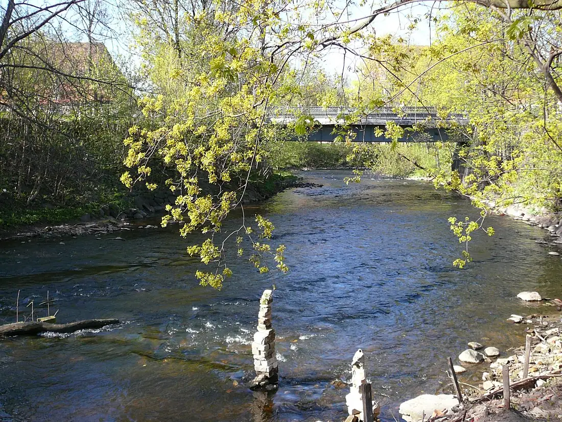 River Vilnia (502982804)