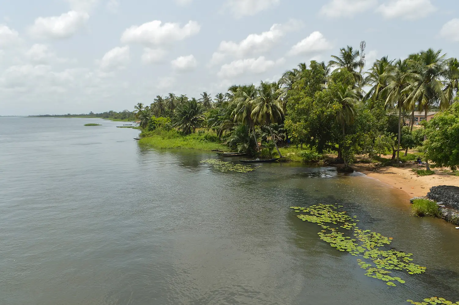 Bank of the river Volta (47456259362)