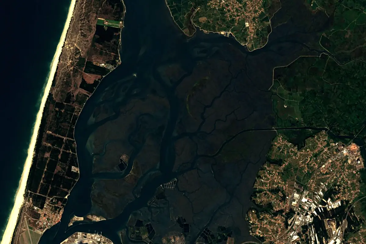 Vouga River: satellite view of the mouth