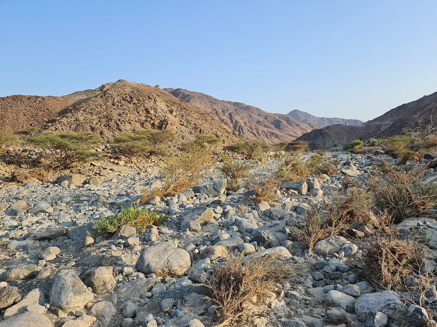 Wadi Helo Evening