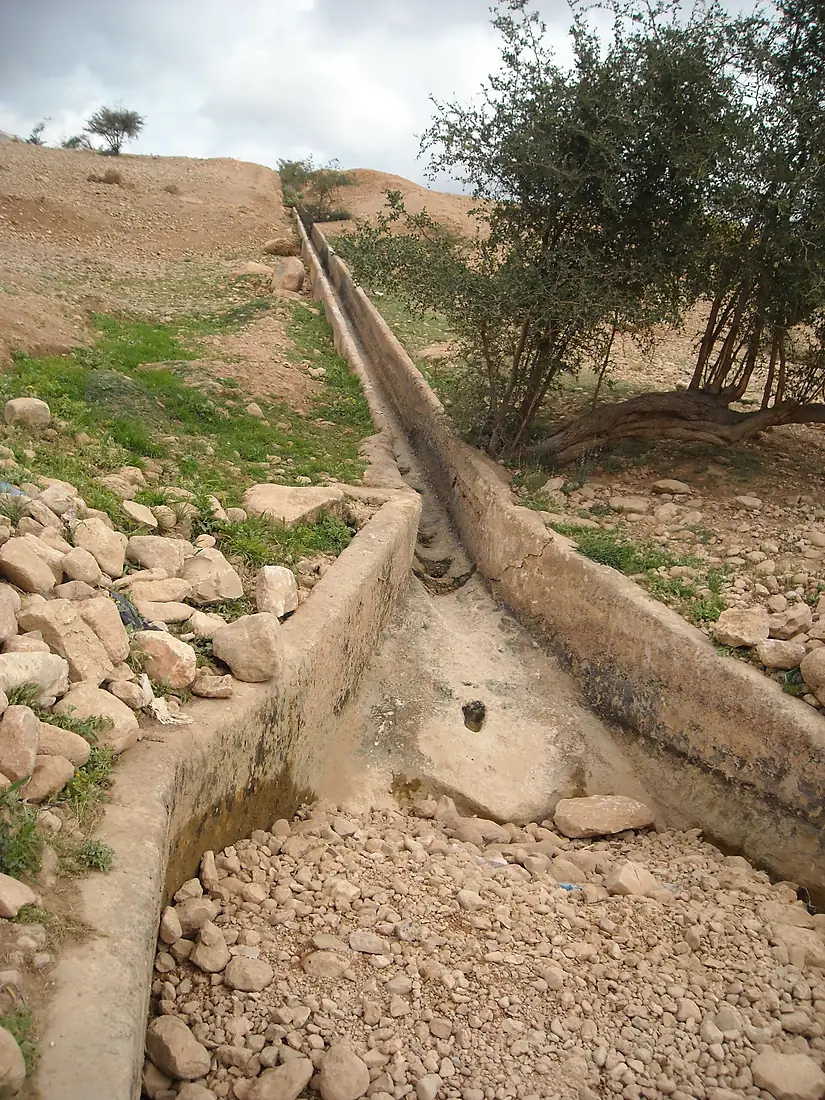 Al Auja spring
