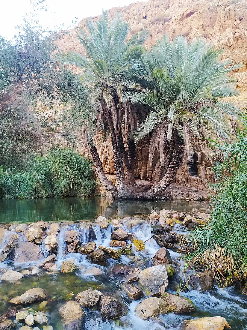 Wadi Al-Auja. palestine 2021