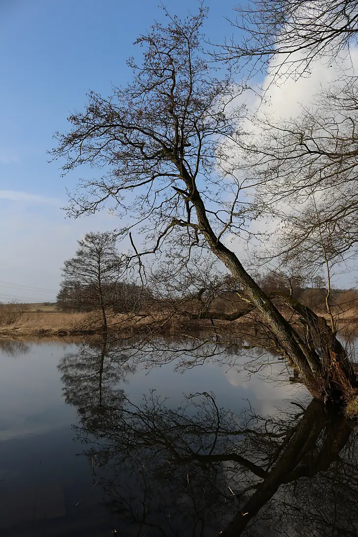 River Warnow near Werle in MV-I