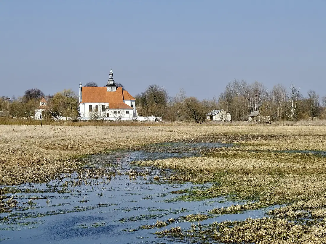 River Wieprz, Lublin Voivodeship, Poland - 2026 1