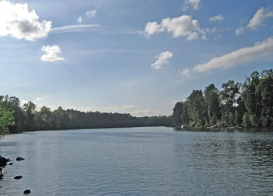 Willamette River at Molalla SP eb