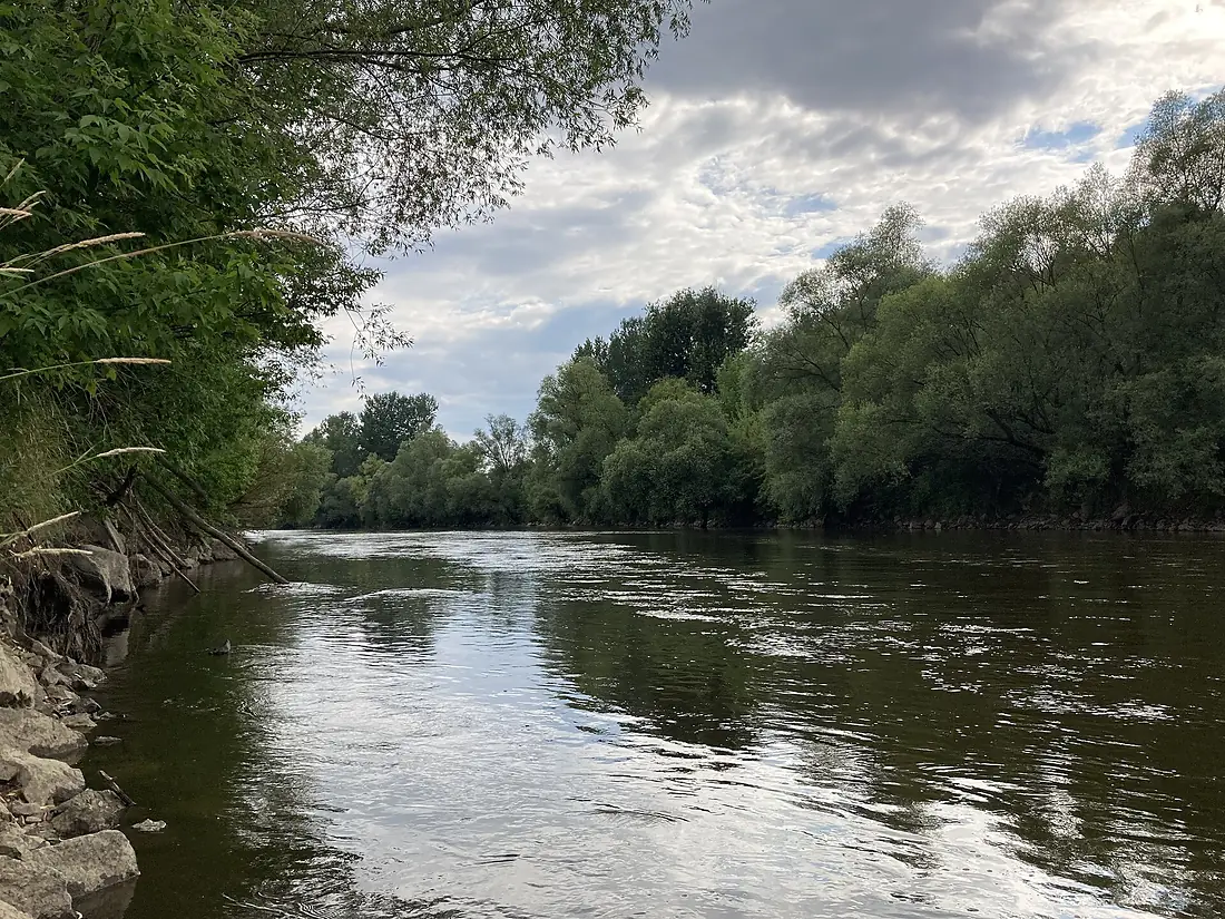 Wisłoka przy ujściu do Wisły