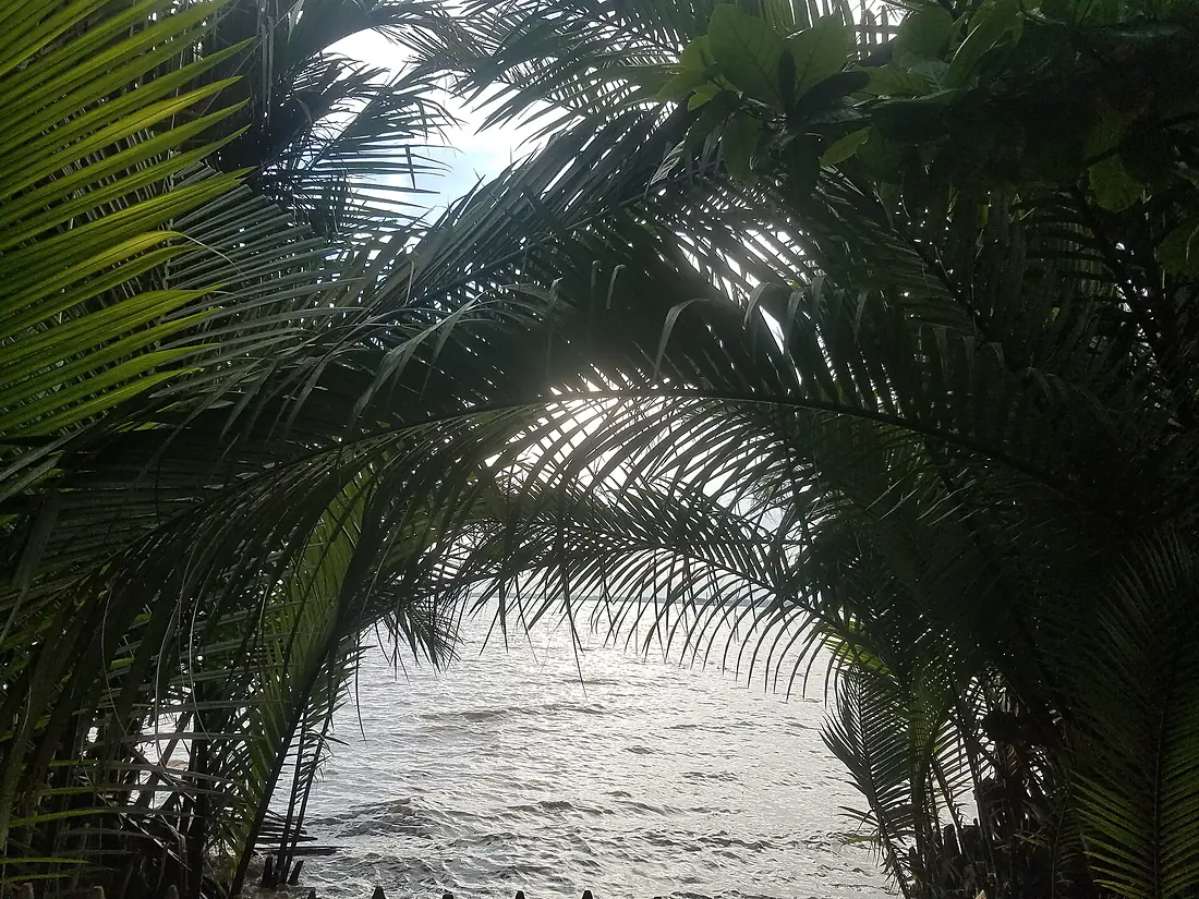 Berges du Wouri 02