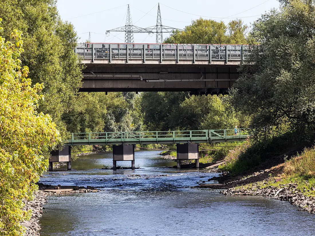 Schwimmbrücke Rheindorf über die Wupper bei Niedrigwasser 2026-7656