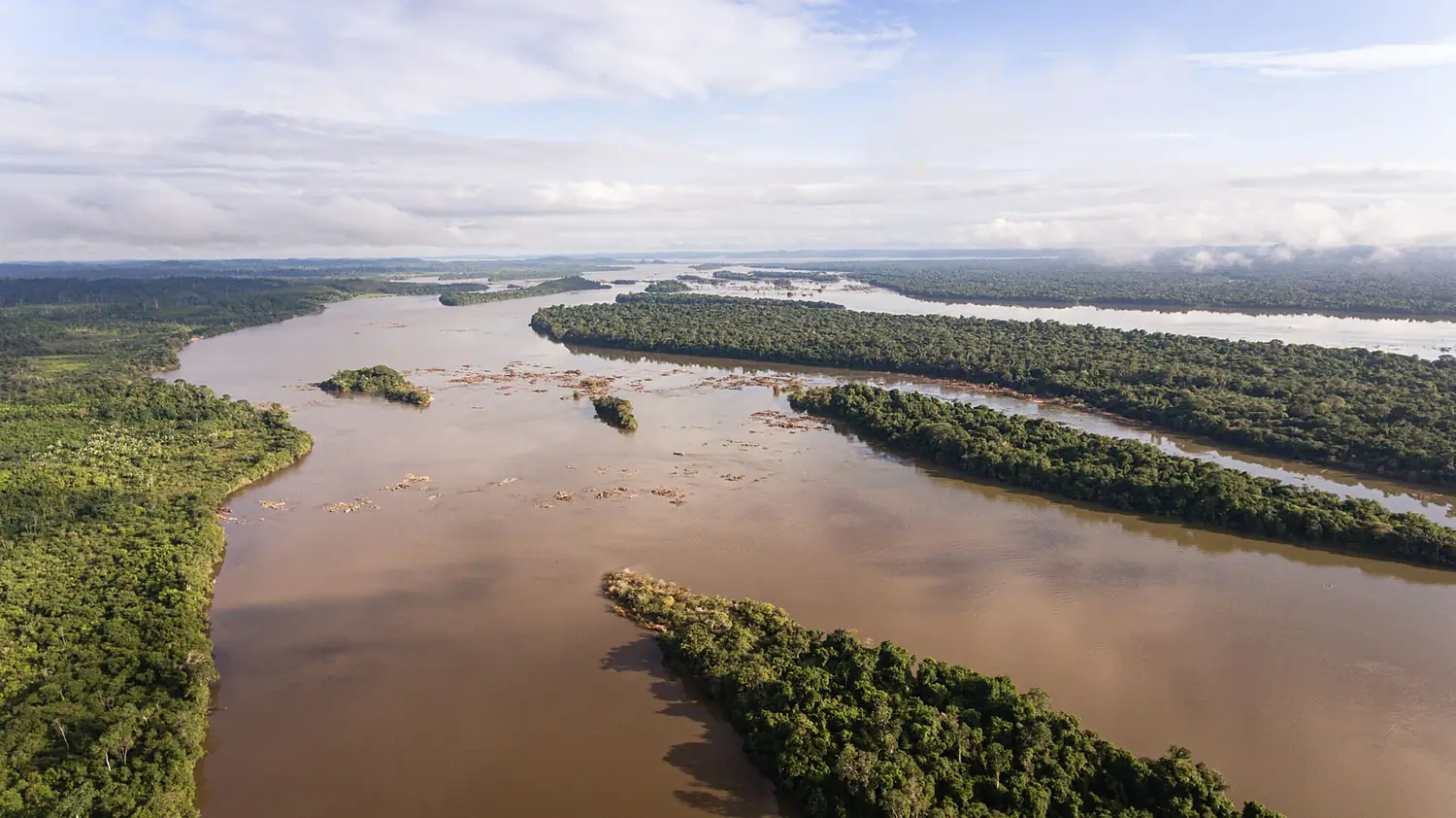 AMAZONIA REAL ALDEIA SAO FRANCISCO SOUZEL PEDROSA NETO-437 (49594456486)