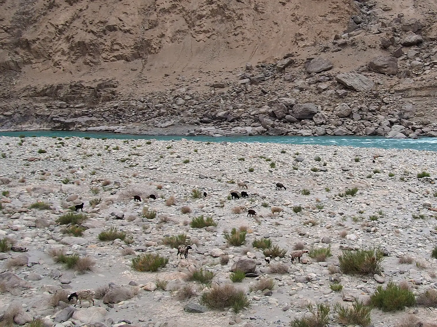 叶尔羌河岸 - Yarkand River Bank - 2015.04 - panoramio