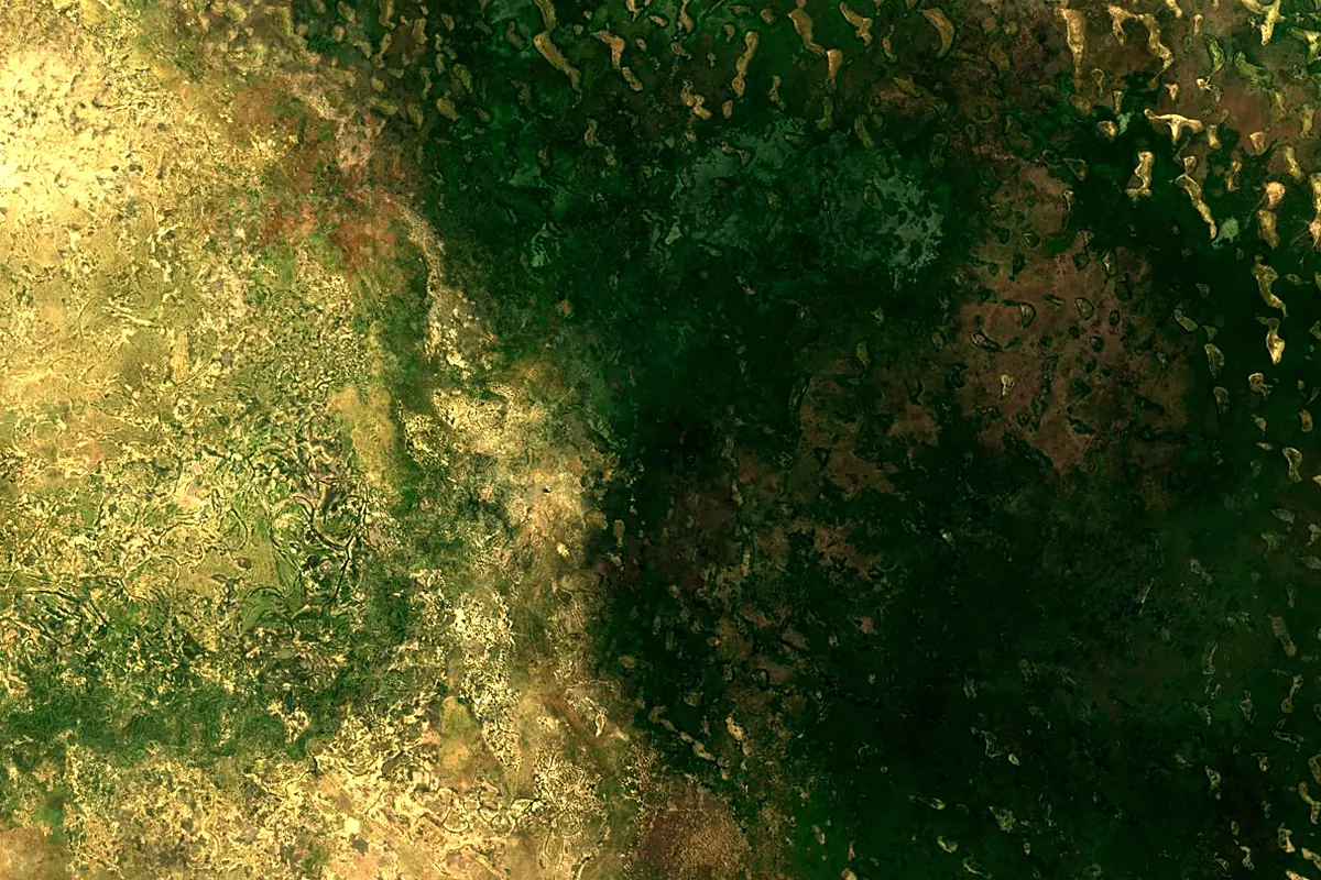 Yobe River: satellite view of the mouth