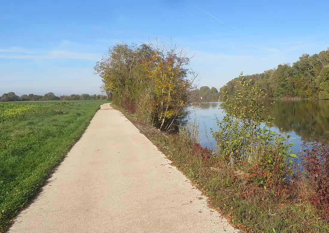 Bord de l'Yonne à Champlay