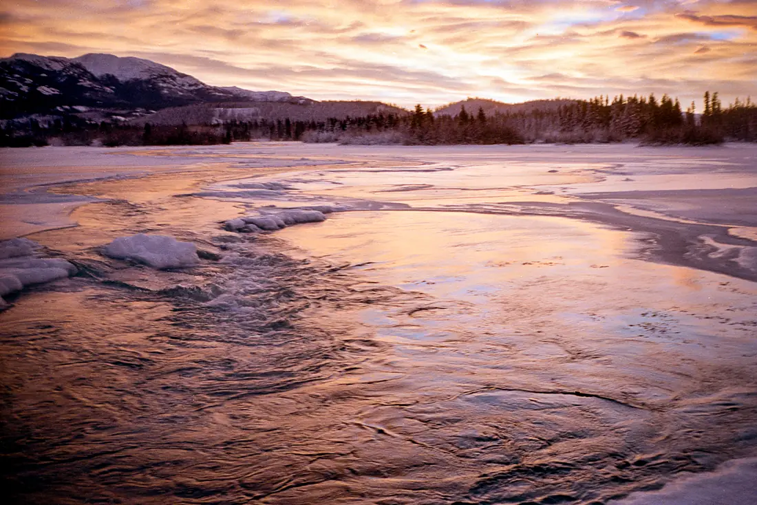 Yukon River, Whitehorse (16209595096)