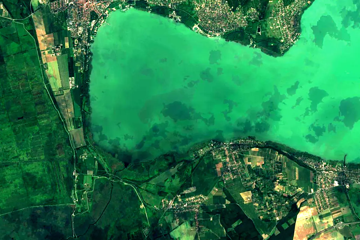 Zala: satellite view of the mouth